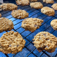 [Gluten-Free] Pumpkin Coconut Oatmeal Cookies, with Chocolate Chips!